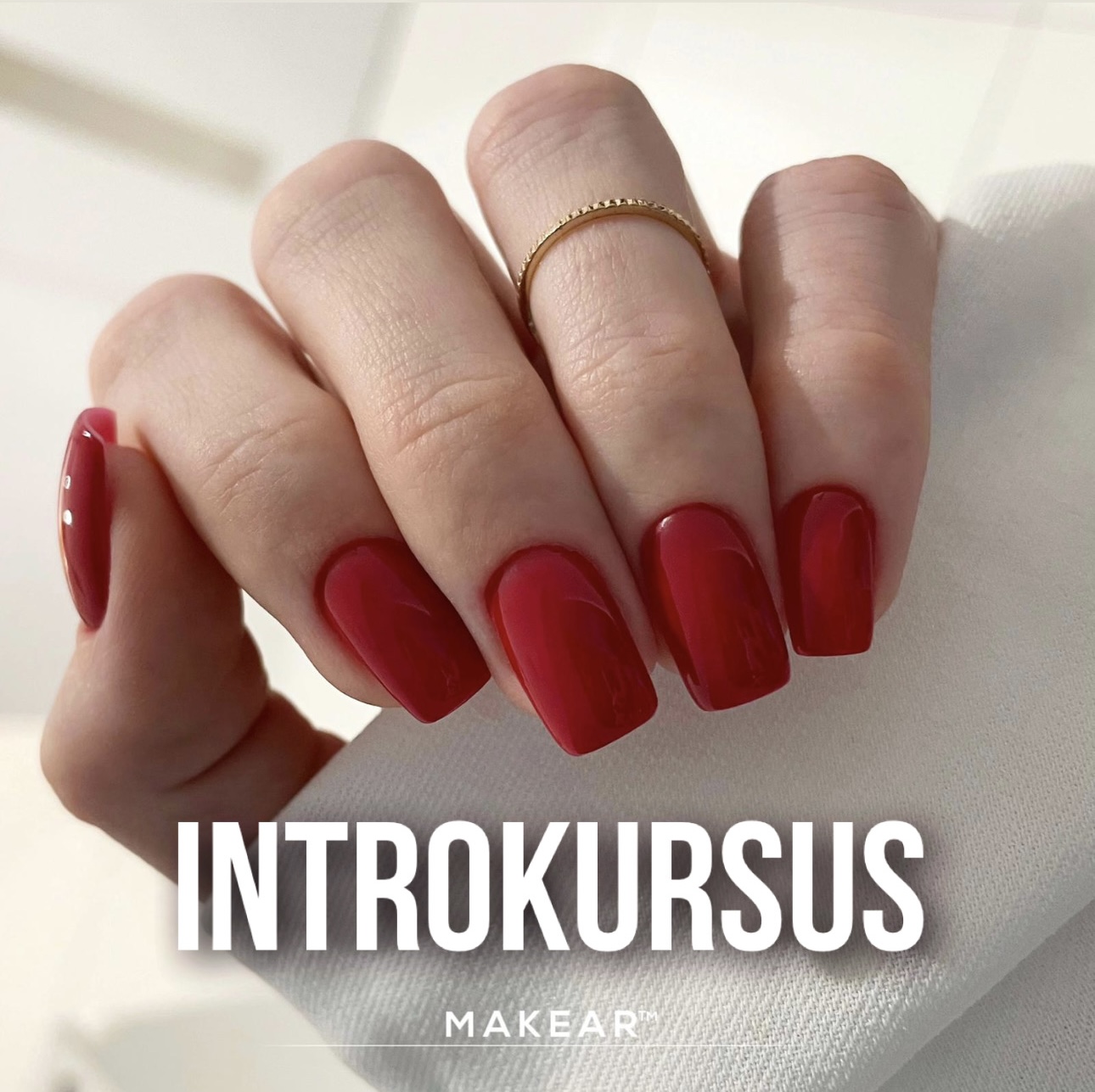 INTROKURSUS